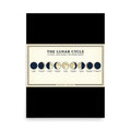 18×24 moon phases poster — vintage science chart showing all 9 lunar phases in navy and cream on off-white background