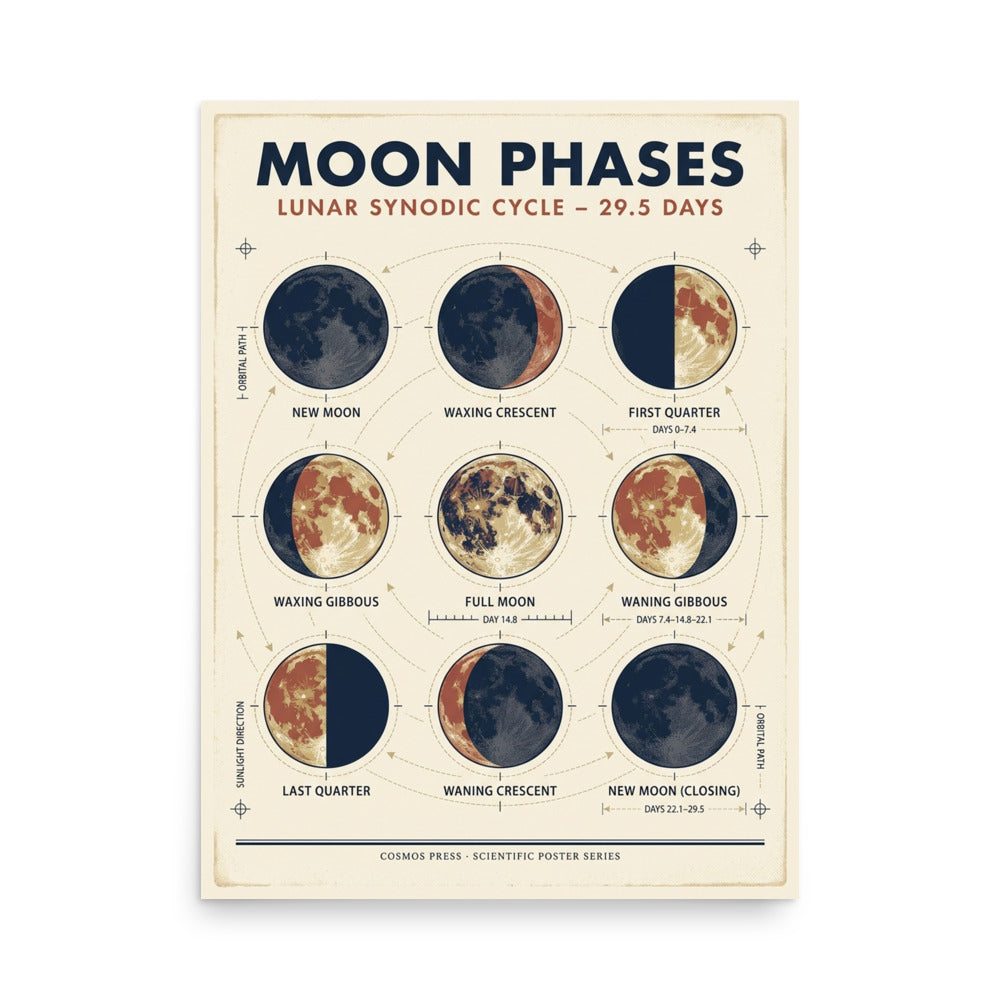 Moon phases poster framed on a light wall, showing a 3x3 grid of all nine lunar cycle positions in navy, rust, and muted gold on cream paper
