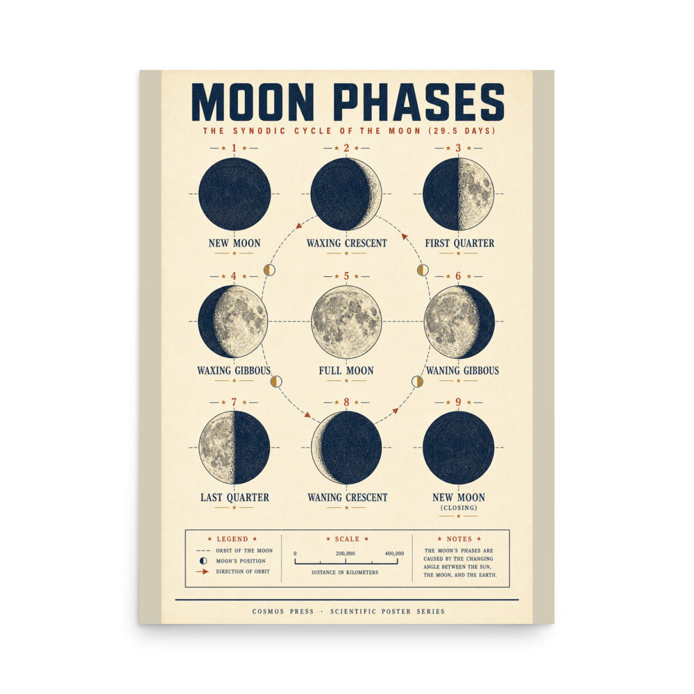 Moon phases poster framed on a light plaster wall — nine lunar phase illustrations in a 3x3 grid, cream background with navy and rust ink, vintage scientific diagram style, 18x24 inches