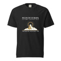 Picos de Europa Eclipse 2026 tee on Comfort Colors black — enlarged chest print